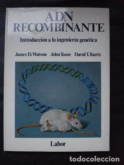 Livres: ADN recombinante- 9788433552181