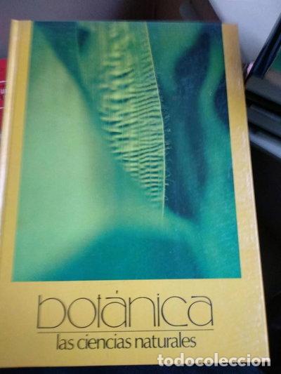 Livros em segunda m&atilde;o: Bot&aacute;nica- 9788427404328