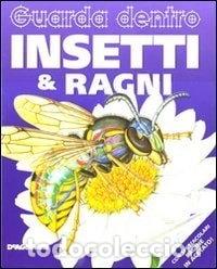 books: Guarda dentro insetti & ragni- 9788841863541