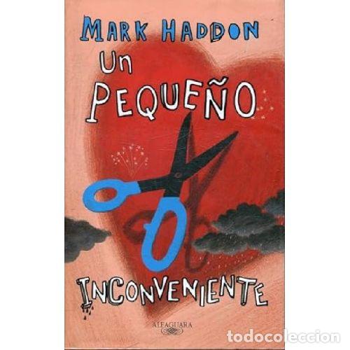 Libros: UN PEQUE&Ntilde;O INCONVENIENTE - MARK HADDON - Foto 1