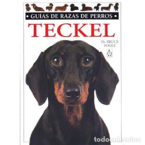 Libros: GUIAS DE RAZAS DE PERROS. TECKEL - BRUCE FOGLE - Foto 1