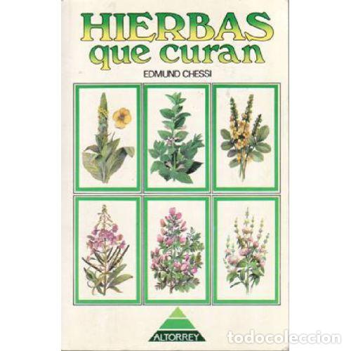 Libros: HIERBAS QUE CURAN - EDMUND CHESSI - Foto 1