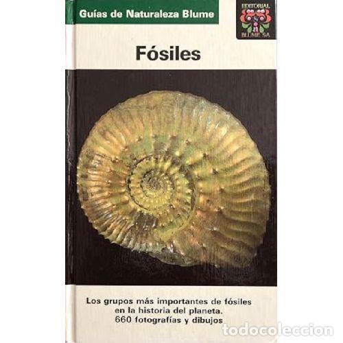 B&uuml;cher: FOSILES. GUIA DE NATURALEZA BLUME - KARL BEURLEN / GERHARD LICHTER