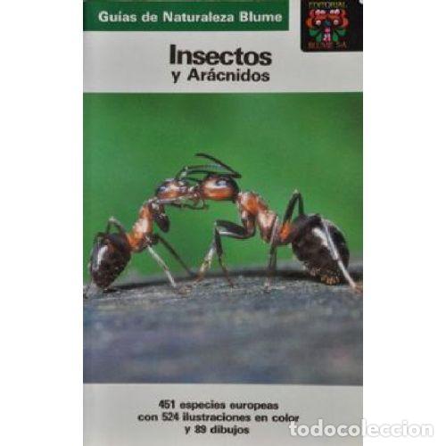 Libri di seconda mano: INSECTOS Y ARACNIDOS - HELGARD REICHHOLF-RIEHM