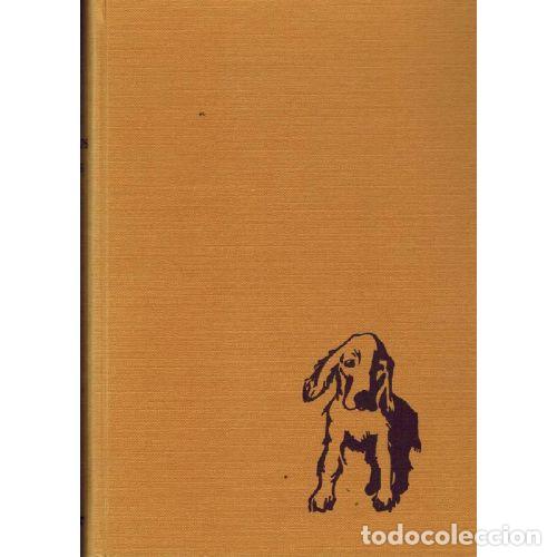 books: EL LIBRO DE LOS PEQUE&Ntilde;OS AMIGO - JANUSZ GRABIANSKI