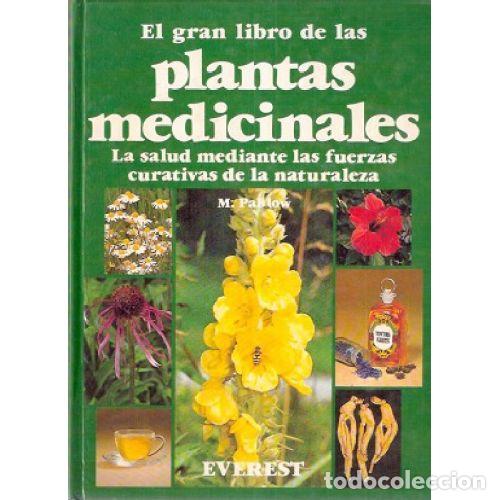 Livros em segunda m&atilde;o: EL GRAN LIBRO DE LAS PLANTAS MEDICINALES - MANNFRIED PAHLOW