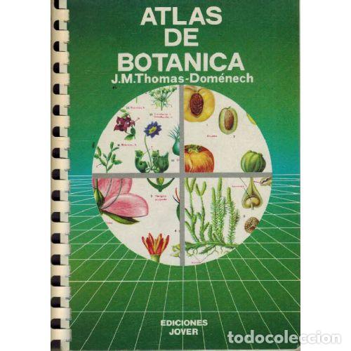 Libros: ATLAS DE BOTANICA - J. M. THOMAS - DOMENECH - Foto 1