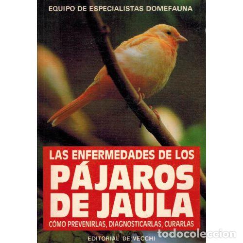 B&uuml;cher: LAS ENFERMEDADES DE LOS PAJAROS DE JAULA - EQUIPO DE ESPECIALISTAS DOMEFAUNA