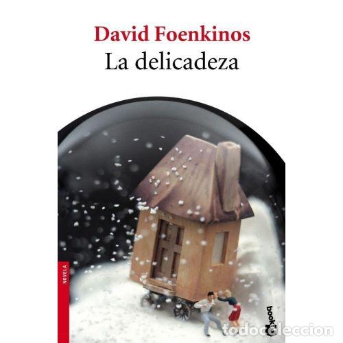 Libros: LA DELICADEZA - DAVID FOENKINOS