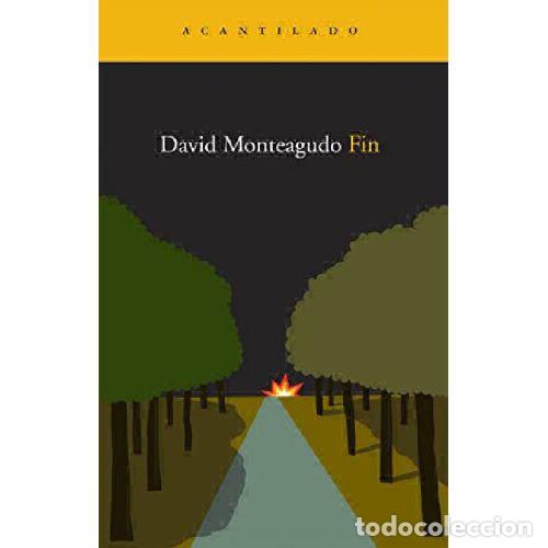 Libros: FIN - DAVID MONTEAGUDO VARGAS - Foto 1