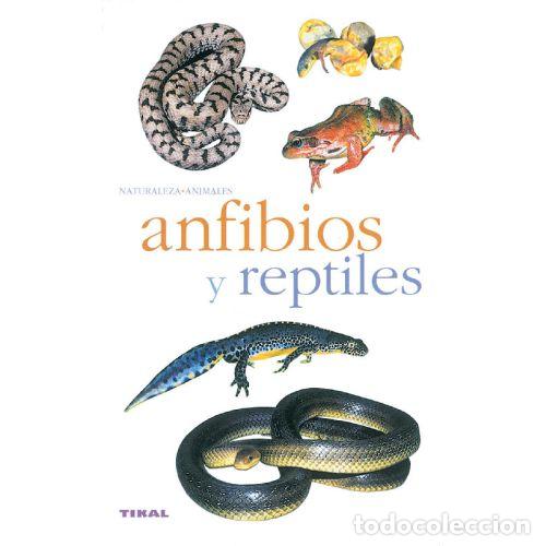 Libros: ANFIBIOS Y REPTILES - MARC SANTIANI