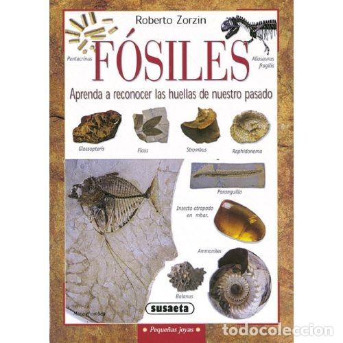 Livros em segunda m&atilde;o: F&Oacute;SILES. APRENDA A RECONOCER LAS HUELLAS DE NUESTRO PASADO - ROBERTO ZORZIN