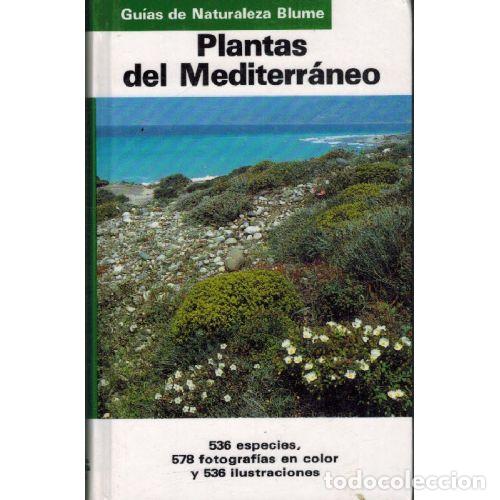 Libri di seconda mano: PLANTAS DEL MEDITERRANEO - BAYER / BUTTLER / FINKENZELLER / GRAU