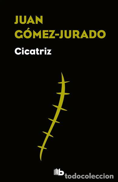 Livros em segunda m&atilde;o: Cicatriz- 9788490706824