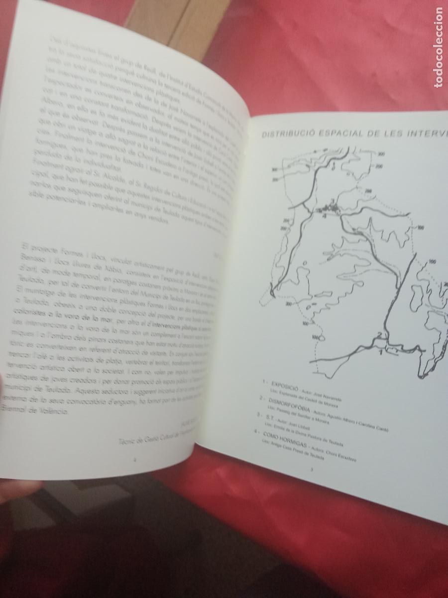 Libros: Formes i llocs. 2001 L.12229-999 - Foto 4
