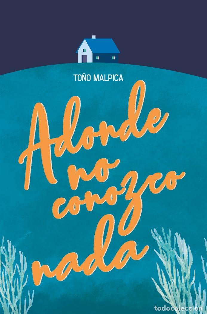 books: Adonde no conozco nada: 377 (Gran Angular)