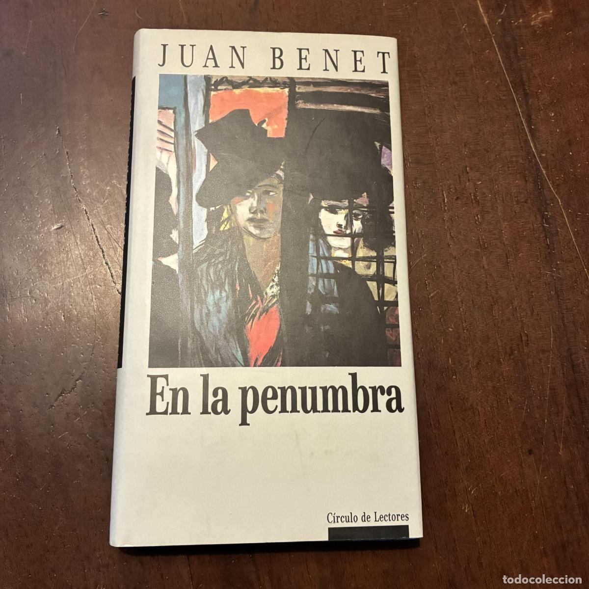 En la penumbra - Juan Benet