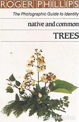Libros: Native and Common Trees- 9780241117583 - Foto 1