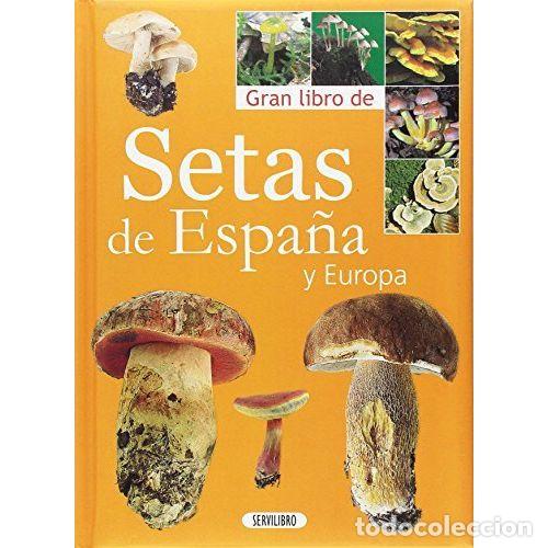 B&uuml;cher: GRAN LIBRO DE SETAS DE ESPA&Ntilde;A Y EUROPA - AAVV