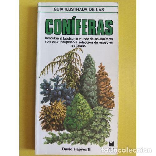Livros em segunda m&atilde;o: GU&Iacute;A ILUSTRADA DE LAS CON&Iacute;FERAS - PAPWORTH, DAVID
