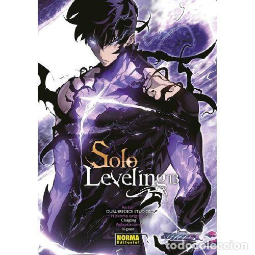 B&uuml;cher: SOLO LEVELING 13 - CHUGONG/DUBU REDICE STUDIO/H GOON