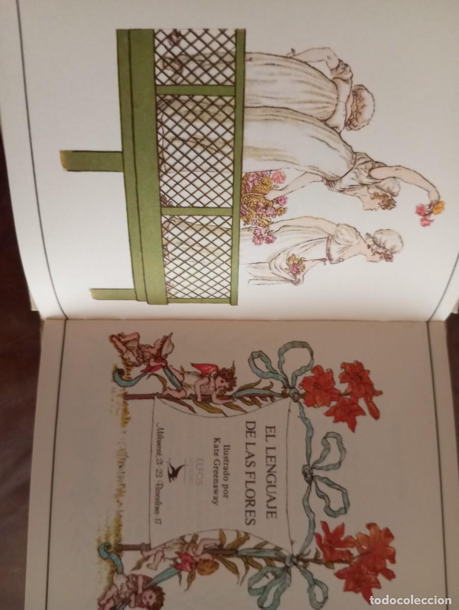 Libros: EL LENGUAJE DE LAS FLORES, KATE GREENAWAY, , EDICIONES ELFOS 1986 - Foto 3