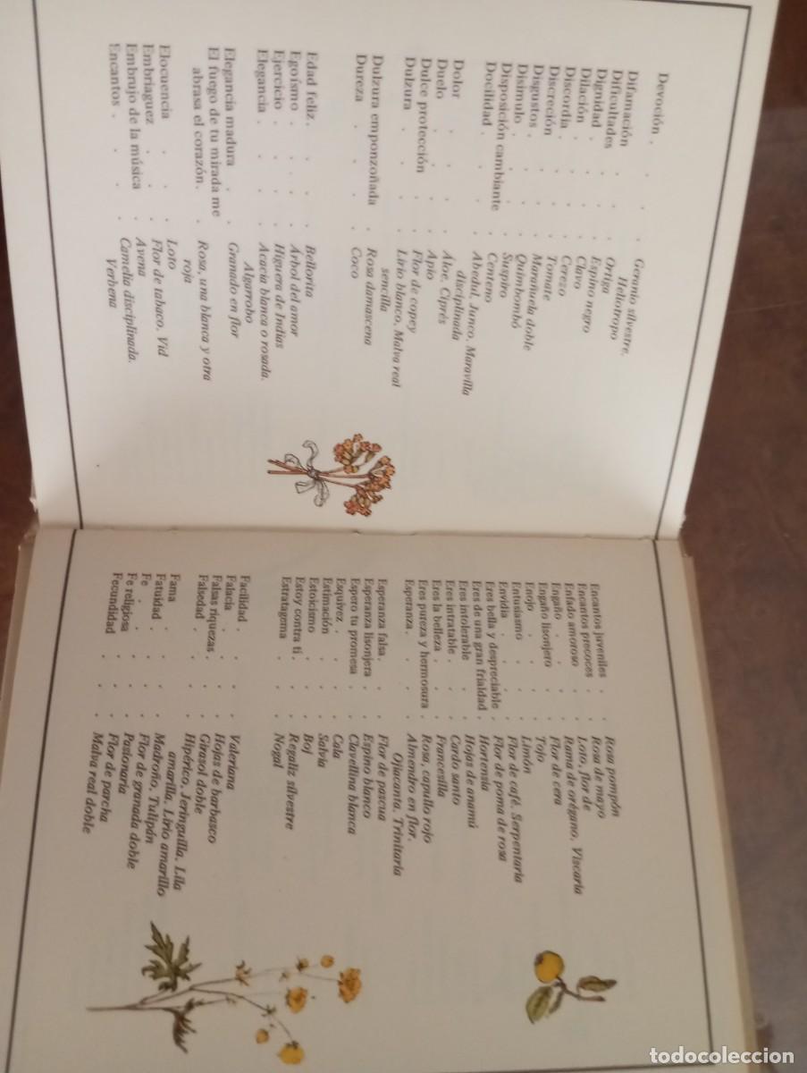 Libros: EL LENGUAJE DE LAS FLORES, KATE GREENAWAY, , EDICIONES ELFOS 1986 - Foto 4