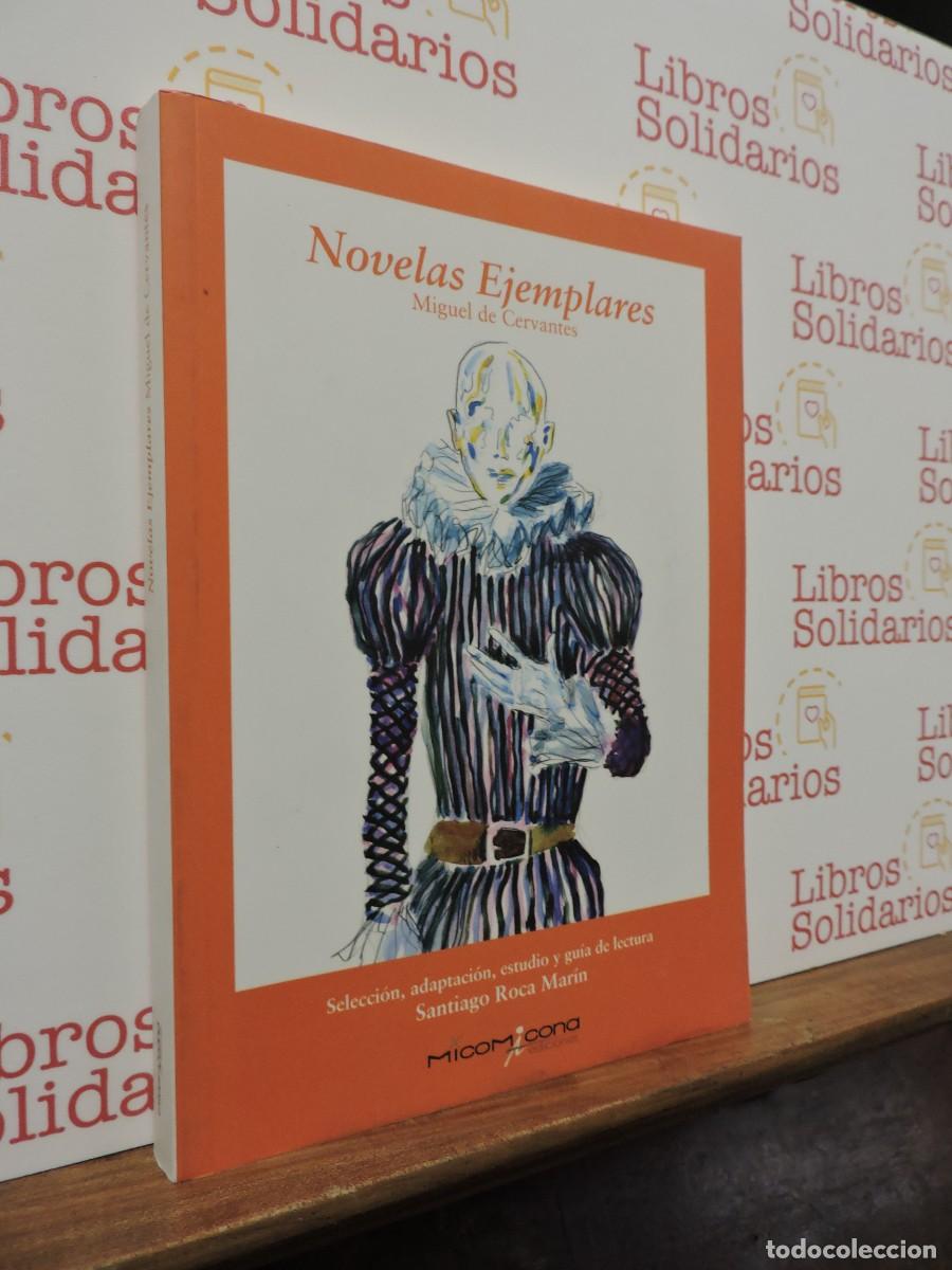 Libros: Novelas Ejemplares. Miguel de Cervantes. Ed. Micomicona. Valencia, 2015