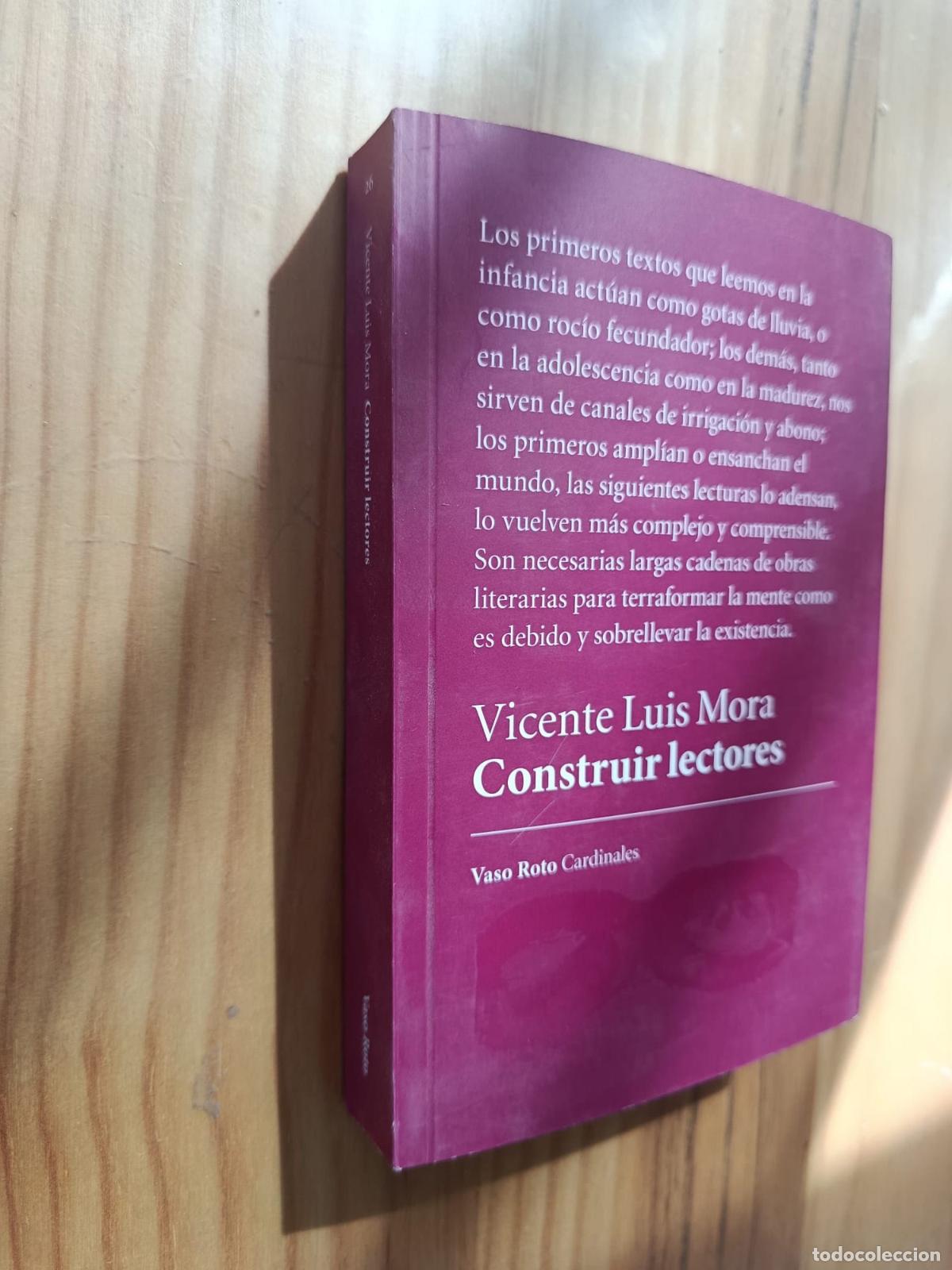 Livres: Construir lectores - Vicente Luis Mora