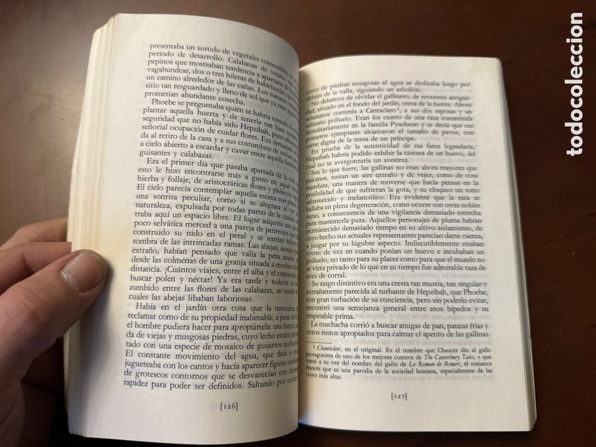 Libros: CASA DE LOS SIETE TEJADOS - LA - HAWTHORNE, NATHANIEL - Foto 4