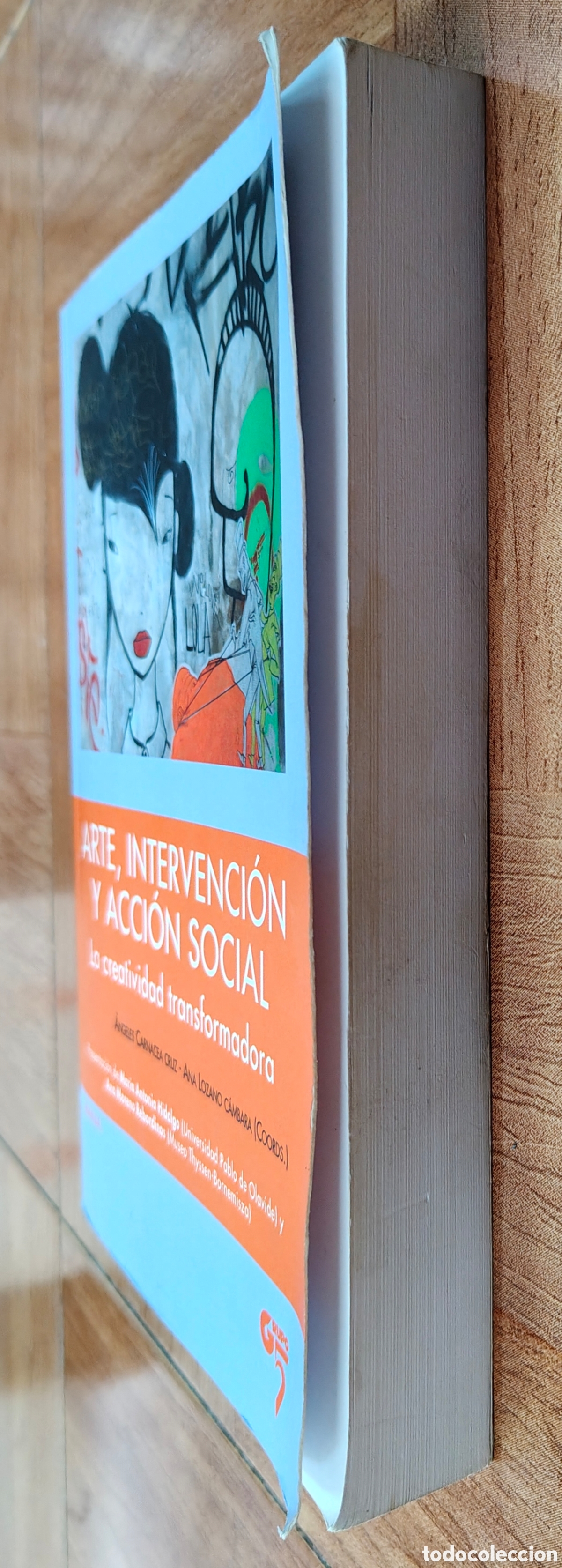 Libros: Arte, Intervenci&oacute;n y Acci&oacute;n Social: La Creatividad Transformada - VV. AA. - Foto 2