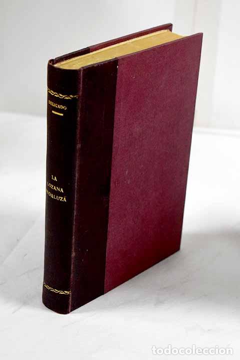 B&uuml;cher: La lozana andaluza: Delicado, Francisco.- Delicado, Francisco