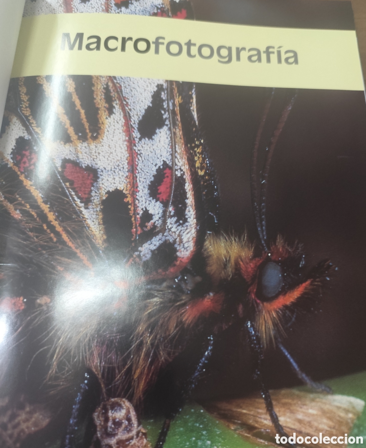 Libros: MACROFOTOGRAFIA - HARCOURT DAVIES,Paul - Foto 2