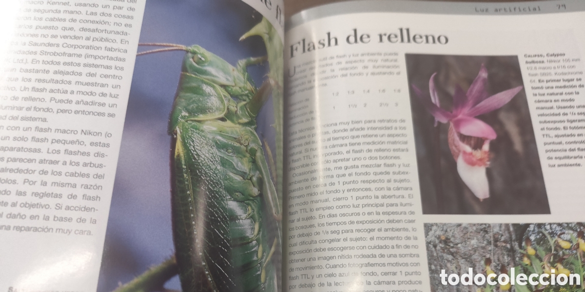 Libros: MACROFOTOGRAFIA - HARCOURT DAVIES,Paul - Foto 5