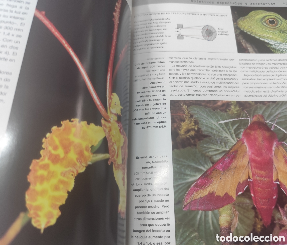 Libros: MACROFOTOGRAFIA - HARCOURT DAVIES,Paul - Foto 7