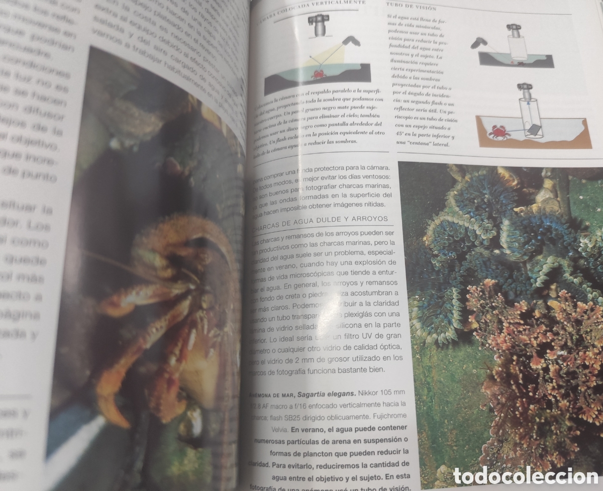 Libros: MACROFOTOGRAFIA - HARCOURT DAVIES,Paul - Foto 8