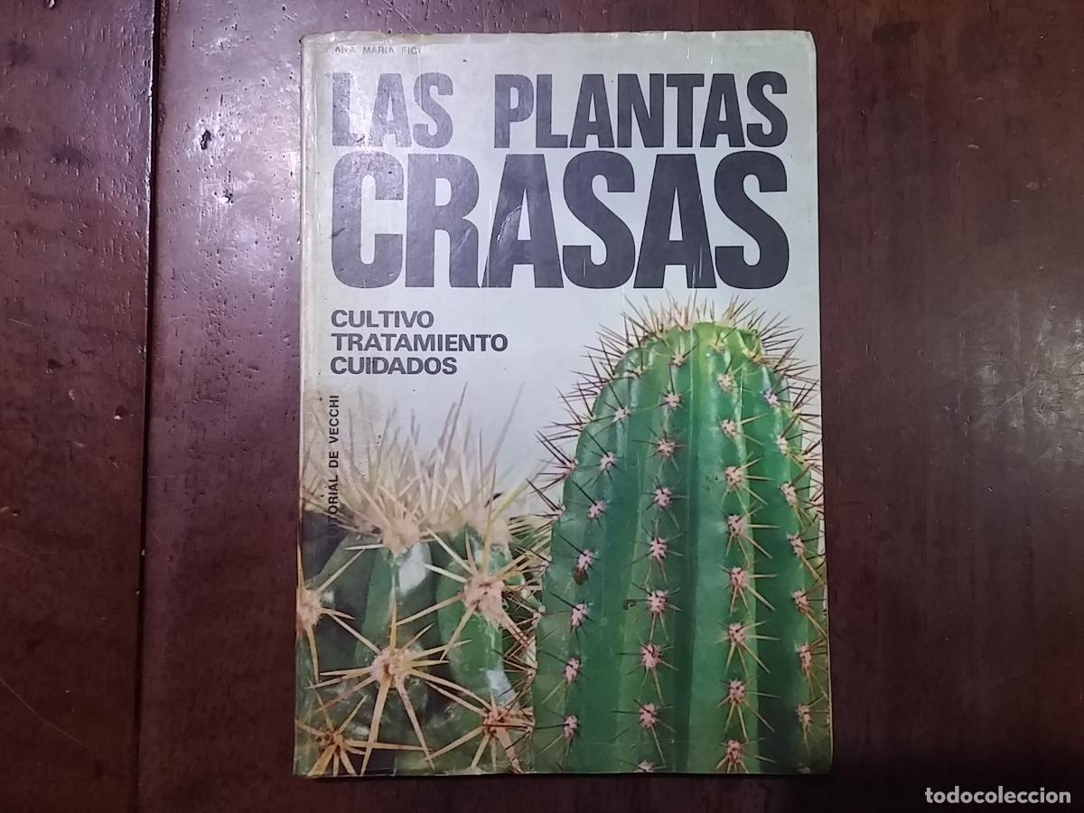 Libros: Las plantas crasas - Ana Mar&iacute;a Fici