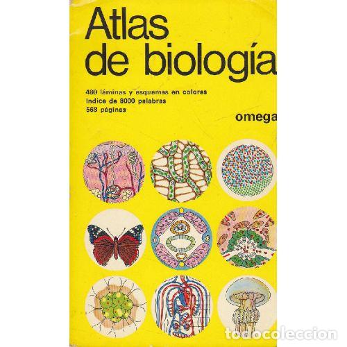 Libri di seconda mano: ATLAS DE BIOLOGIA - GUNTER VOGEL / HARTMUT ANGERMANN