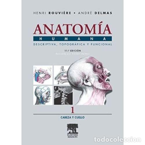 Livros em segunda m&atilde;o: ANATOMIA HUMANA DESCRIPTIVA, TOPOGRAFICA Y FUNCIONAL. TOMO 1: CABEZA Y CUELLO - HENRI ROUVIERE / AND