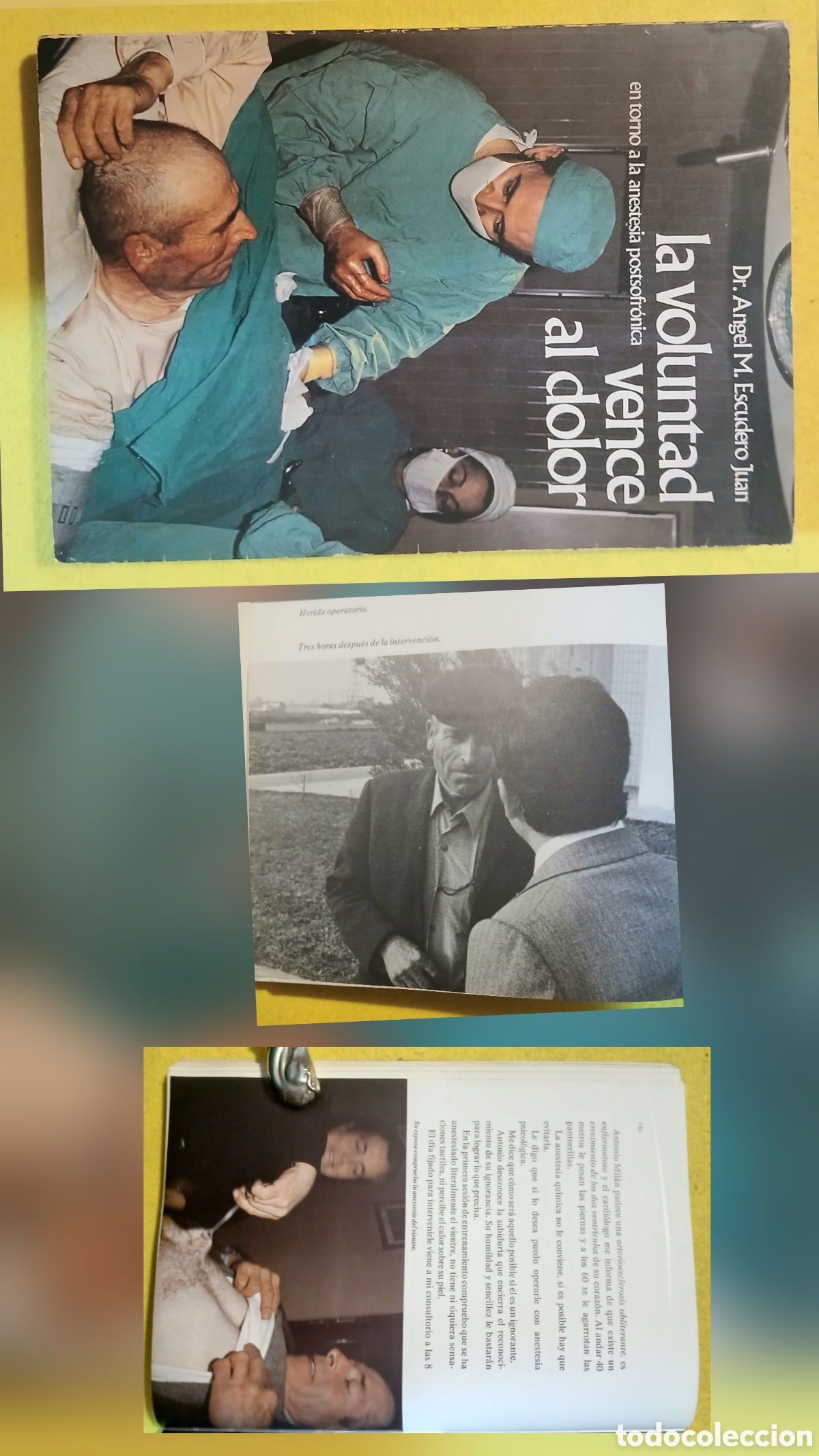 Libros: La voluntad vence al dolor