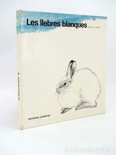 Livres: Les Llebres blanques- 9788426114587