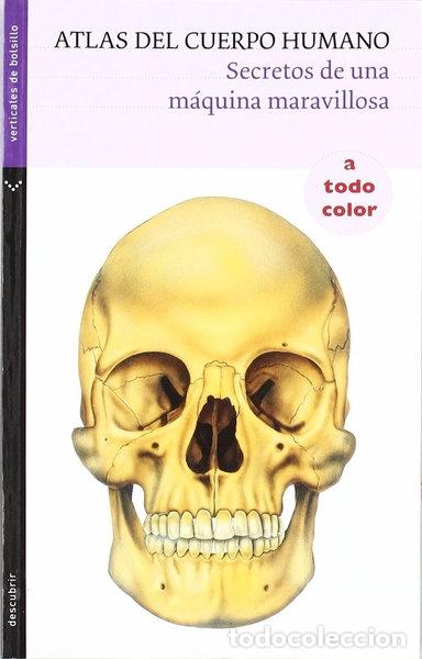 Livros em segunda m&atilde;o: Atlas del cuerpo humano- 9788492421602