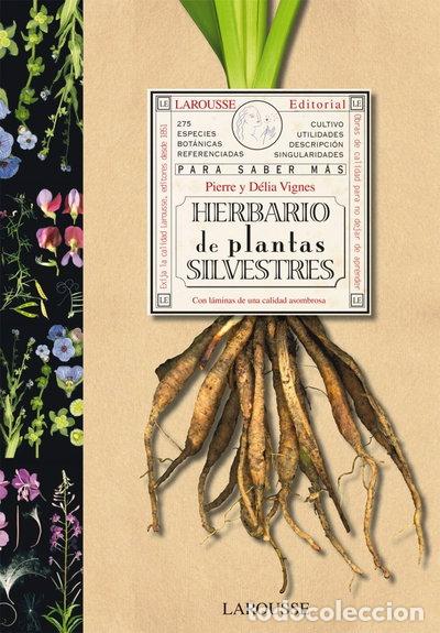 books: Herbario de plantas silvestres- 9788480168762