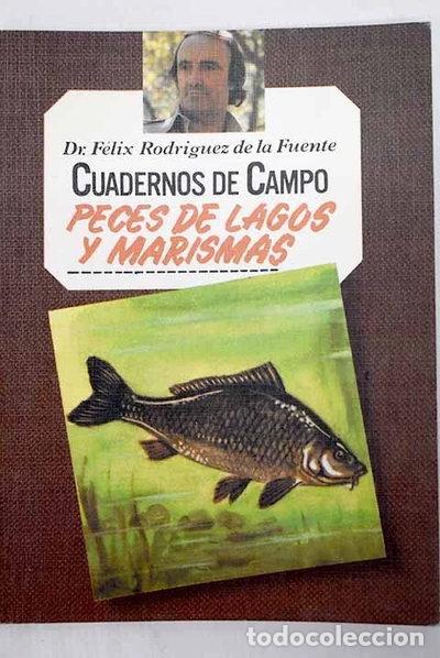 Livres: Peces de lagos y marismas- 9788471025180