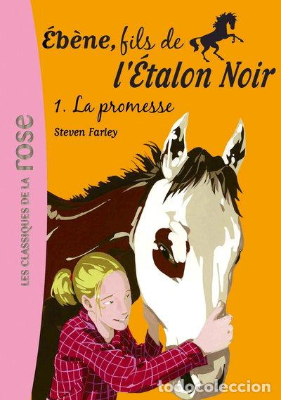 Livres: La promesse- 9782012009677