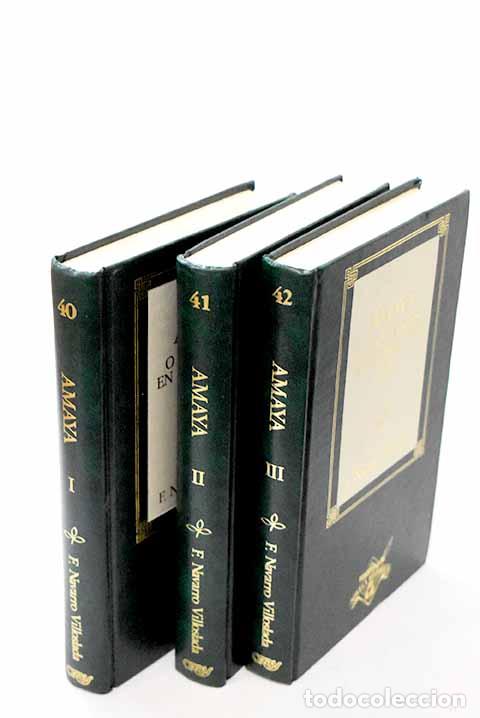 Libros: Amaya o Los vascos en el siglo VIII.- Navarro Villoslada, Francisco