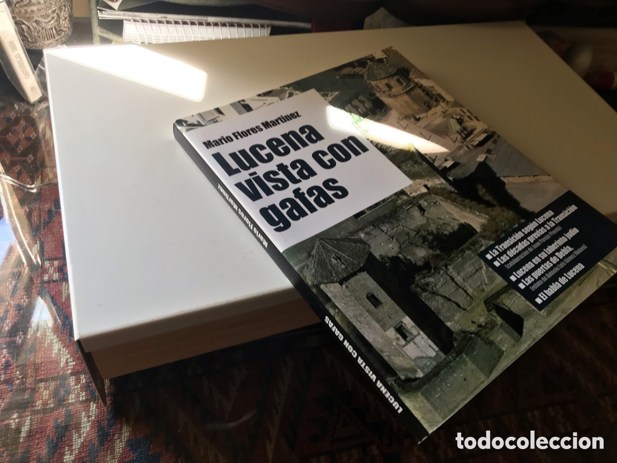 Libros: Lucena vista con gafas. Mario Flores Mart&iacute;nez