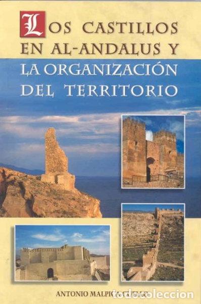 books: La econom&iacute;a campesina en la corona de Castilla (1000-1300)- 9788484325031