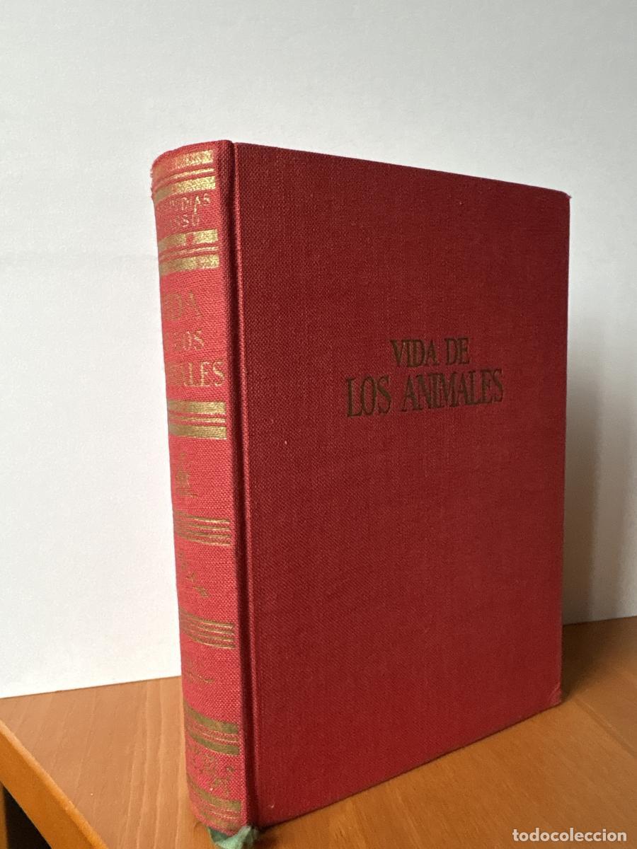Livres: VIDA DE LOS ANIMALES. ENCICLOPEDIAS DE GASS&Oacute; - MIGUEL FUST&Eacute; ARA TDK847