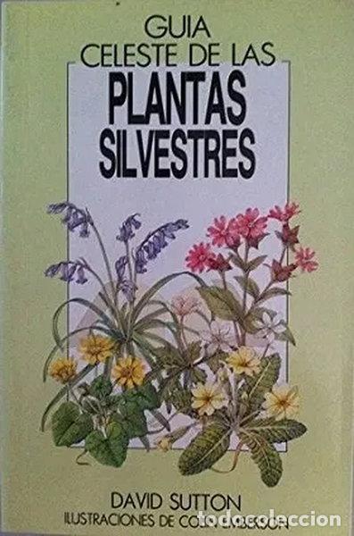 Livros em segunda m&atilde;o: Gu&iacute;a Celeste de las plantas silvestres- 9788487553080